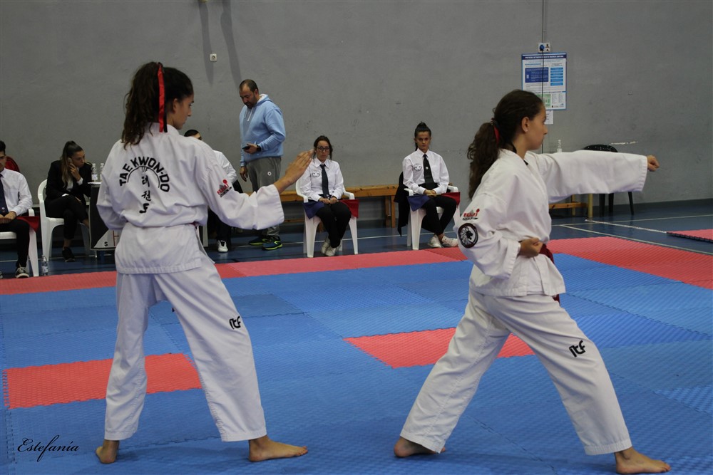 Copa Seul 2018 (406).jpg